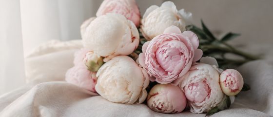 Peonies wrapped for a customer